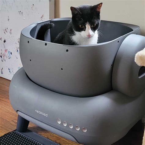 best robot litter box|The 10 Best Automatic Litter Boxes of 2024, Tested by Our Cats .